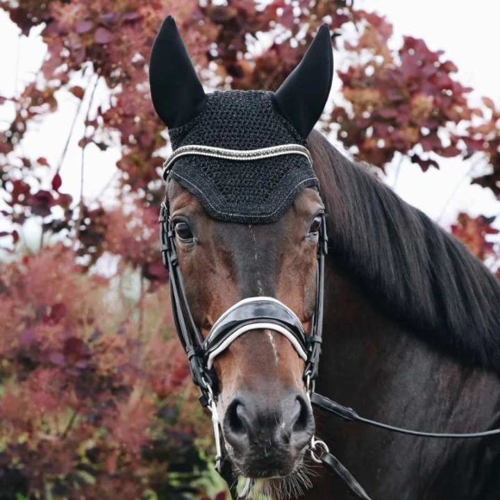 Ear Bonnet Wellington Sparkling Soundless Black in the group Horse Tack / Bonnets at Equinest (4261101FBA_r)
