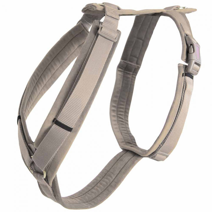 Dog Harness Active Velvet Beige in the group Dog / Dog Collars & Harnesses at Equinest (42640Be_r)