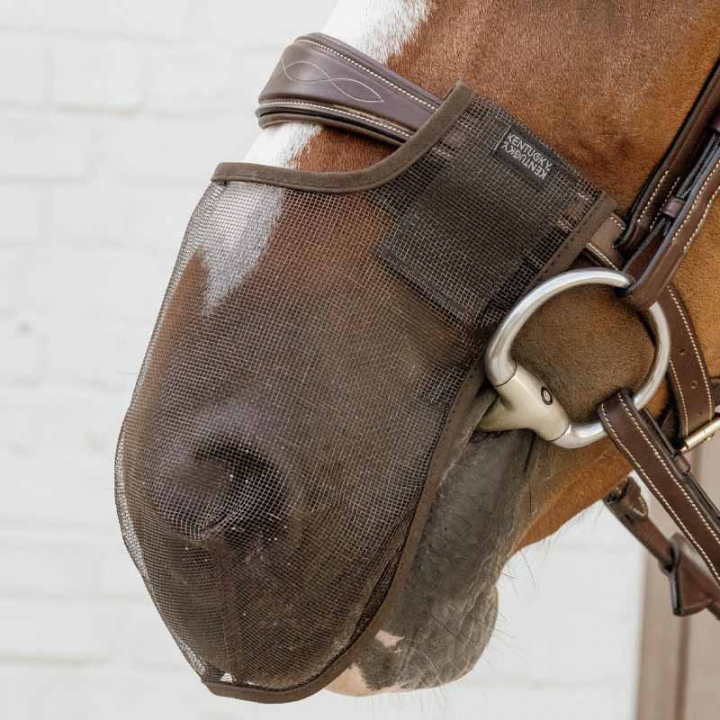 Nose net Anti Fly Brown in the group Horse Tack / Bridles & Browbands / Bridle Accessories at Equinest (4266305FBR_r)