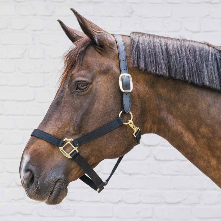 Halter Breakaway Black in the group Horse Tack / Halters / Fabric & Nylon Halters at Equinest (4266501COBBA_r)