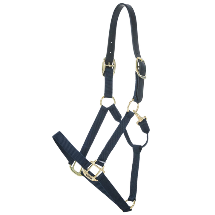 Halter Breakaway Navy Blue in the group Horse Tack / Halters / Fabric & Nylon Halters at Equinest (4266503COBNA_r)