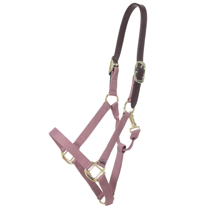 Halter Breakaway Old Pink in the group Horse Tack / Halters / Fabric & Nylon Halters at Equinest (4266510COBOPI_r)