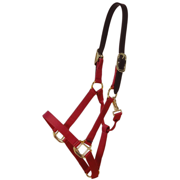 Halter Breakaway Bordeaux in the group Horse Tack / Halters / Fabric & Nylon Halters at Equinest (4266517COBWN_r)