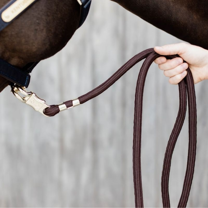 Lead Rope Panic Hook Brown in the group Horse Tack / Lead Ropes & Trailer Ties / Nylon & Cotton Lead Ropes at Equinest (4270905200BR)