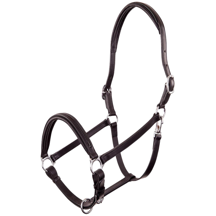 Leather Halter Florennes Black in the group Horse Tack / Halters / Leather Halters at Equinest (431109B00183BA_r)