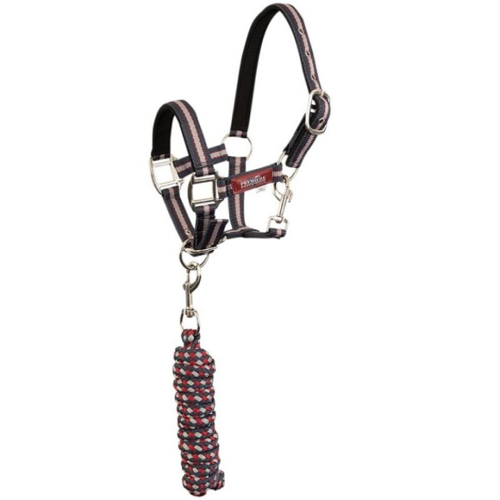 Halter with Lead Rope XS-Series Brown in the group Horse Tack / Halters at Equinest (432280B25182BR_r)