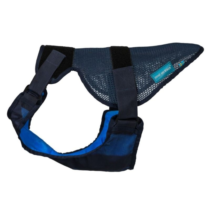 Cooling Dog Harness Cool on Track Blue in the group Dog / Dog Collars & Harnesses at Equinest (43290300BL_r)