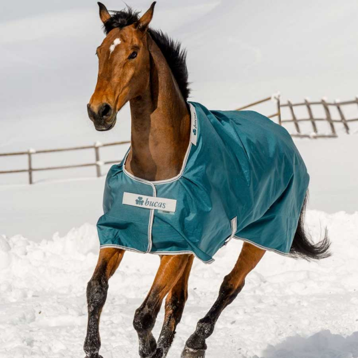Rain Sheet Atlantic Turnout 400g Green in the group Horse Rugs / Turnout Rugs / Winter Rugs at Equinest (44015-07-400g-Gn_r)