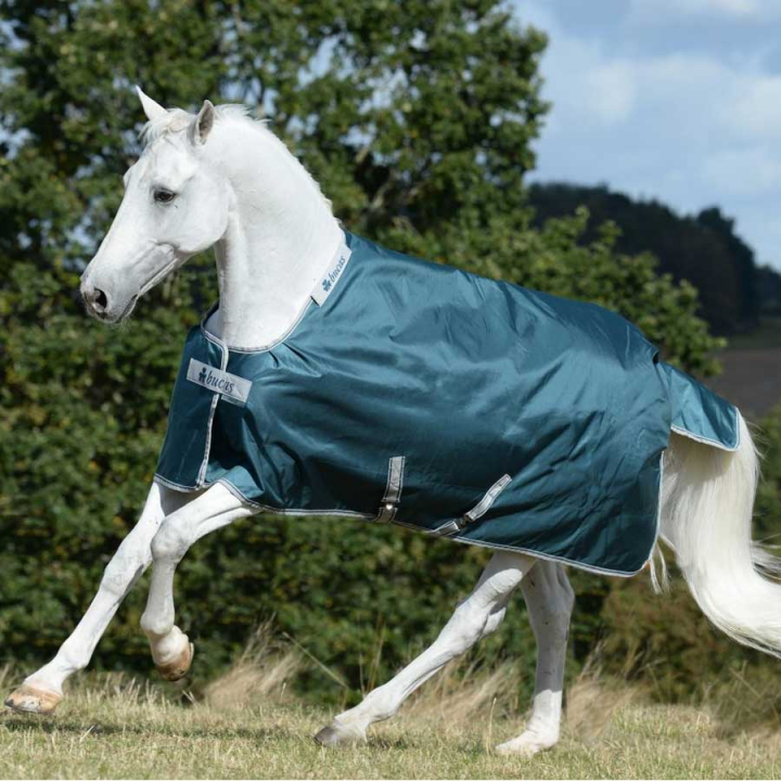 Rain Sheet Atlantic Turnout 50g Green in the group Horse Rugs / Turnout Rugs / Rain Sheets at Equinest (44015-07_G_r)