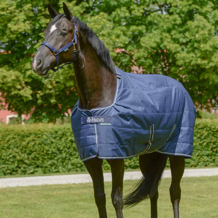 Stable Rug/Under Rug Quilt 50g Navy in the group Horse Rugs / Stable Rugs at Equinest (45800Ma_r)