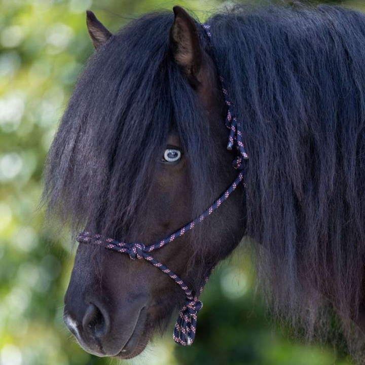 Rope Halter Knotted Navy/White/Red in the group Horse Tack / Halters / Rope Halters at Equinest (50411542NWR_r)