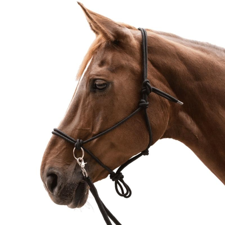 Rope Halter with Reins Knotted Black in the group Horse Tack / Halters / Rope Halters at Equinest (5041801PBA_r)