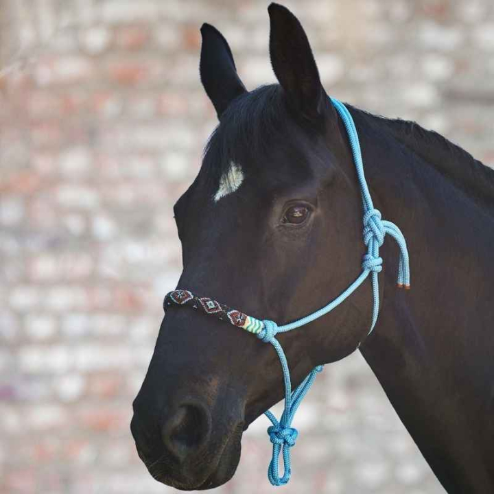 Rope Halter Pearls Blue in the group Horse Tack / Halters / Rope Halters at Equinest (5043250PBL_r)