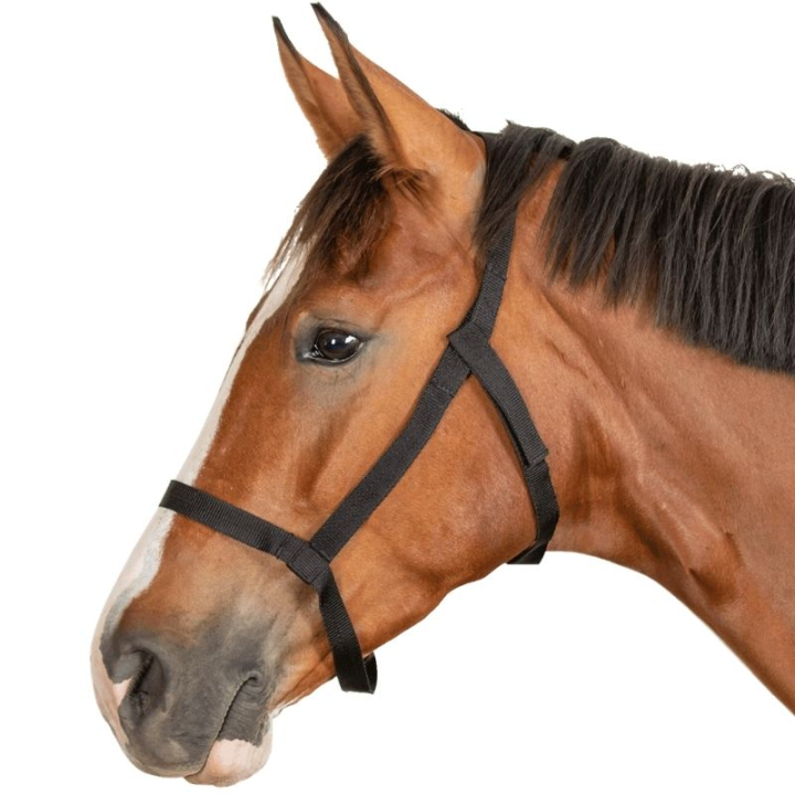 Field Halter Grazing Black in the group Horse Tack / Halters / Fabric & Nylon Halters at Equinest (5045301PBA_r)