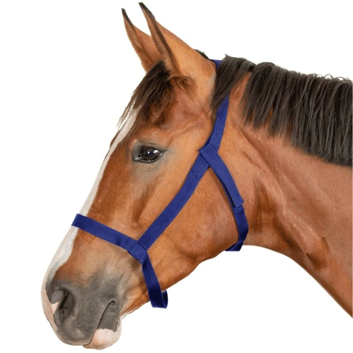 Field Halter Grazing Navy Blue in the group Horse Tack / Halters / Fabric & Nylon Halters at Equinest (5045355PNA_r)