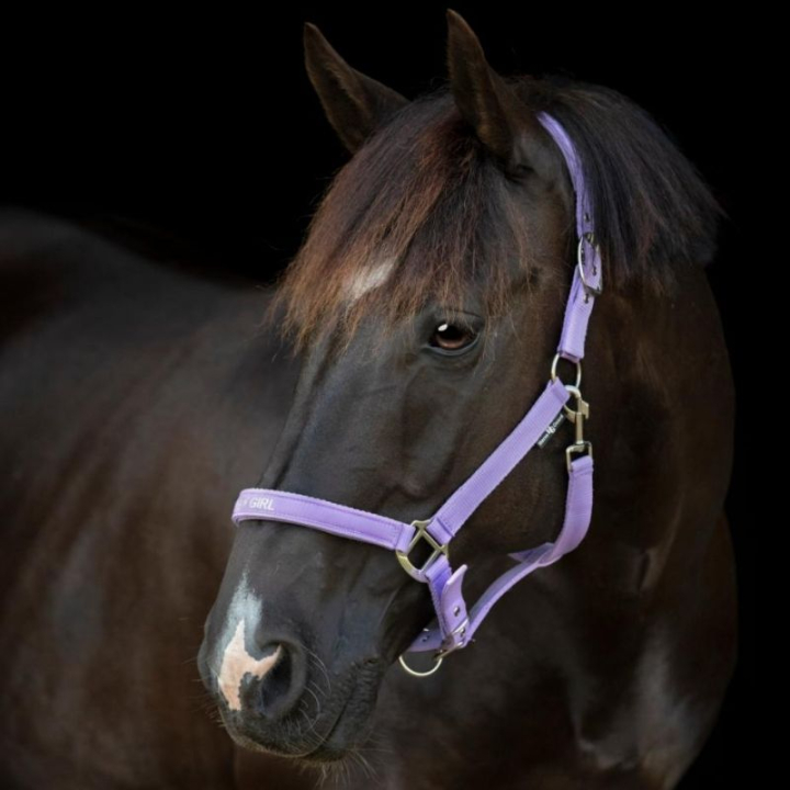 Halter Malva HG Purple in the group Horse Tack / Halters / Fabric & Nylon Halters at Equinest (50499020142PU_r)
