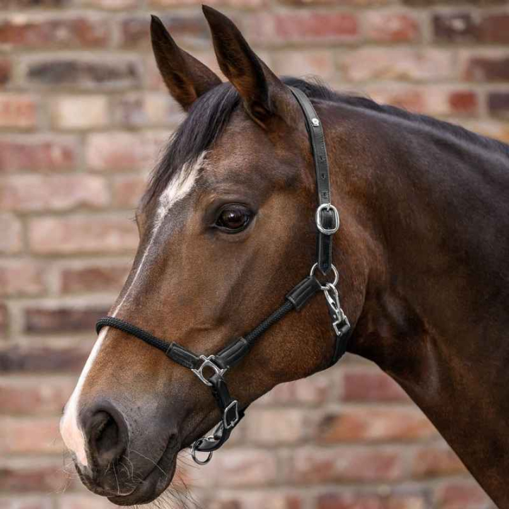 Leather Halter Nevada X-Line Black/Black in the group Horse Tack / Halters / Leather Halters at Equinest (5050201VBABA_r)
