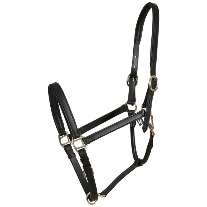 Leather Halter Sabine HG Black in the group Horse Tack / Halters / Leather Halters at Equinest (505332001BA)