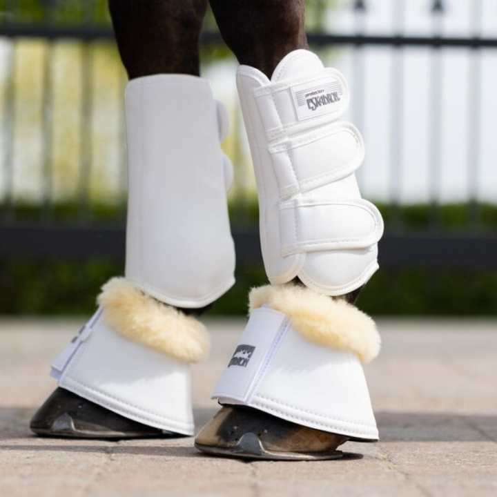 Brushing Boots Allround Front White in the group Horse Tack / Leg Protection / Brushing Boots & Dressage Boots at Equinest (51400076WH_r)