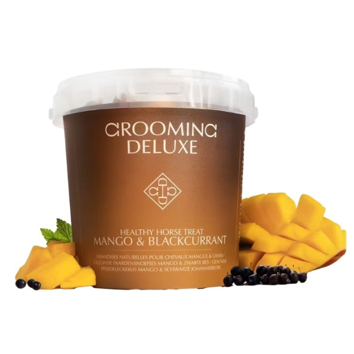 Healthy Horse Treats Mango & Blackcurrant 500g in the group Grooming & Health Care / Horse Treats at Equinest (52007MAN-500)