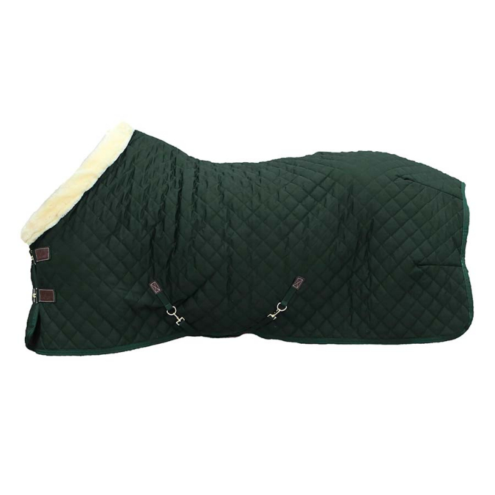Competition Rug 160g Dark Green in the group Horse Rugs / Show Rugs & Travel Rugs at Equinest (52101Gn_r)
