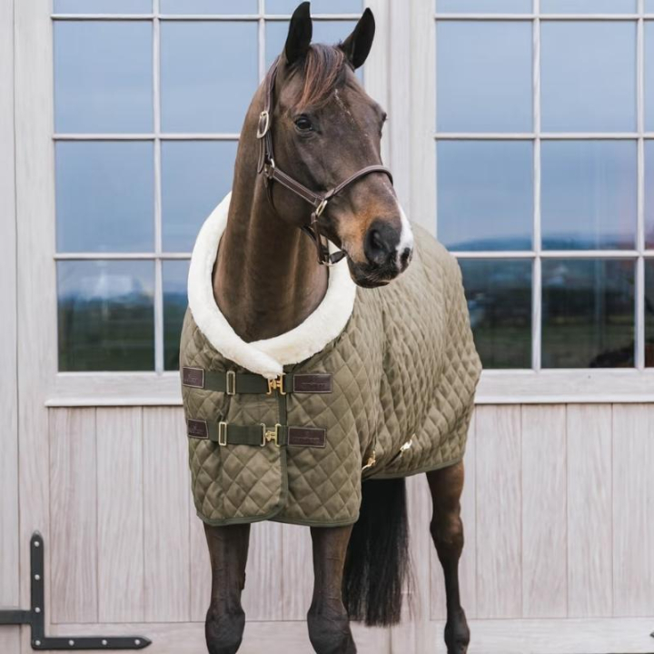 Show Rug/Stable Rug 160g Green in the group Horse Rugs / Show Rugs & Travel Rugs at Equinest (52101LGN)