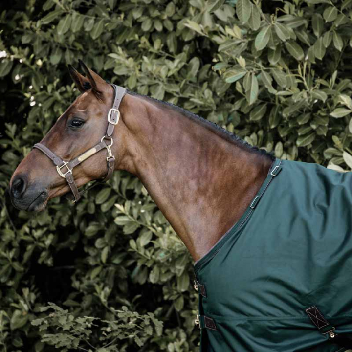 Turnout Rug All Weather Waterproof Pro 160g Dark Green in the group Horse Rugs / Turnout Rugs / Lightweigt Rugs at Equinest (52121DGN_r)