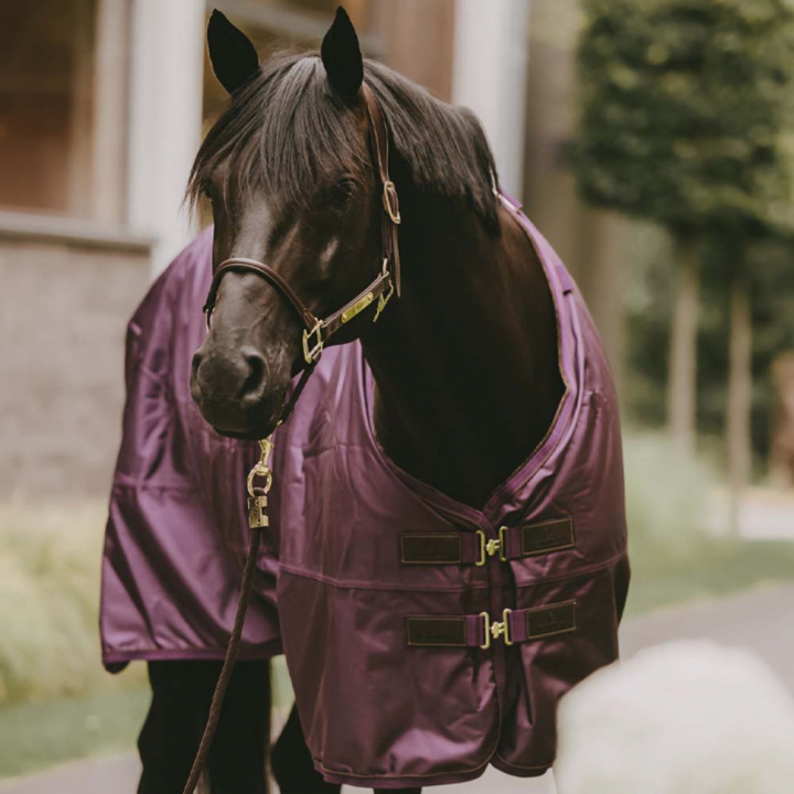 Turnout Rug All Weather Waterproof Pro 160g Royal Purple in the group Horse Rugs / Turnout Rugs / Lightweigt Rugs at Equinest (52121PU_r)