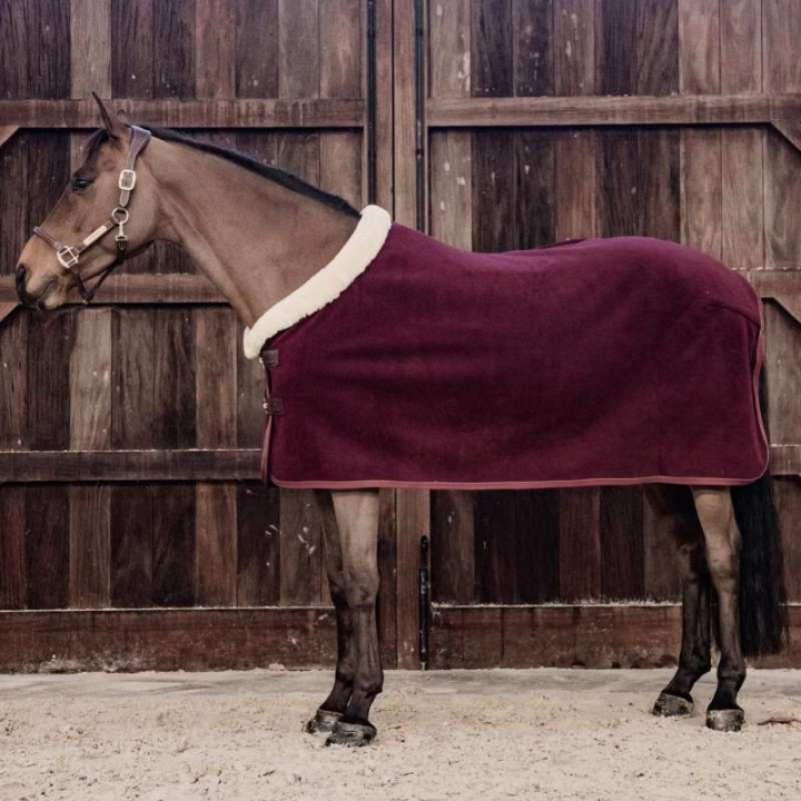 Show Rug Heavy Fleece Bordeaux in the group Horse Rugs / Fleece Rugs at Equinest (52148Bo_r)