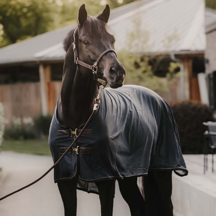 Fly Rug Mesh Navy in the group Horse Rugs / Fly Rugs & Eczema Rugs at Equinest (52157Ma_r)