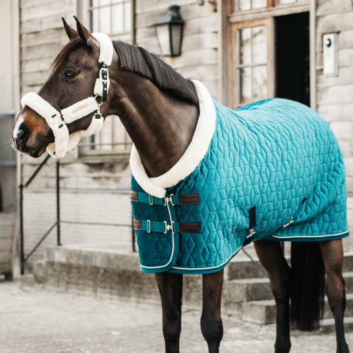 Show Rug Velvet 160g Emerald Green in the group Horse Rugs / Show Rugs & Travel Rugs at Equinest (52171Gn_r)