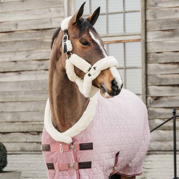 Show Rug Velvet 160g Old Pink in the group Horse Rugs / Show Rugs & Travel Rugs at Equinest (52171Rs_r)