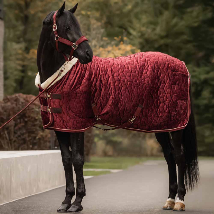 Show Rug Velvet 160g Bordeaux in the group Horse Rugs / Show Rugs & Travel Rugs at Equinest (52171Vn_r)