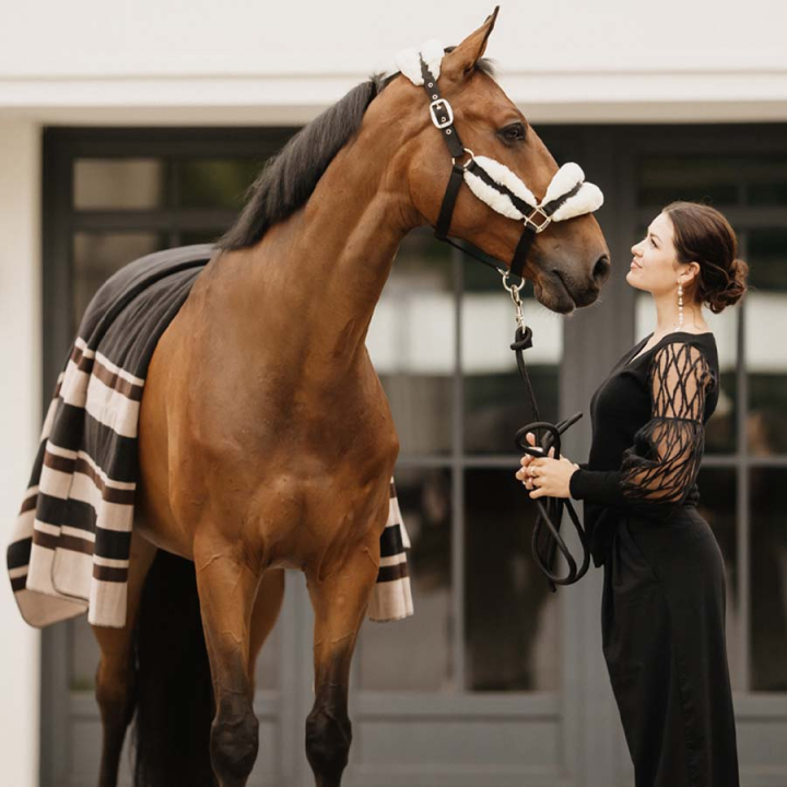 Fleece Rug Heavy Square Stripes Brown 210x200 in the group Horse Rugs / Fleece Rugs at Equinest (52172BR-210X200)