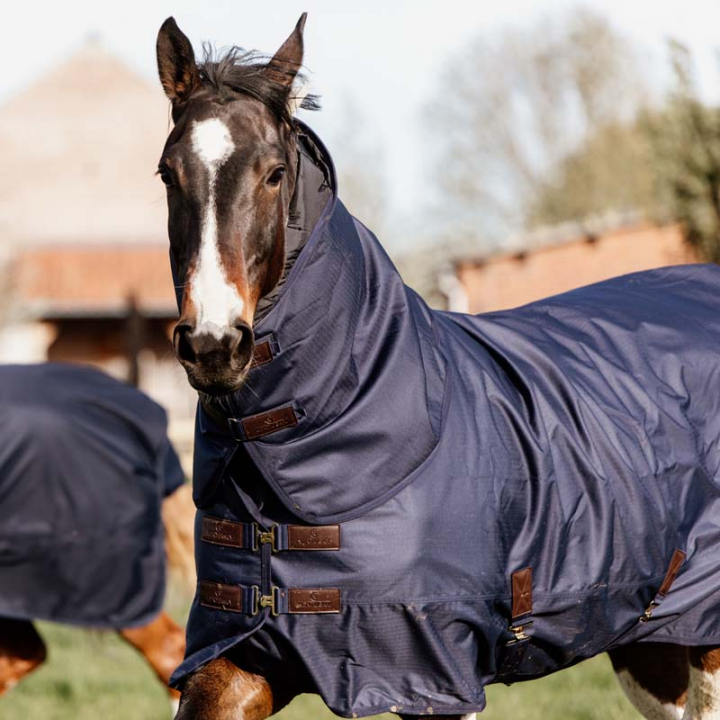 Turnout Rug with Neck All Weather Quick Dry Fleece 150g Navy Blue in the group Horse Rugs / Turnout Rugs / Lightweigt Rugs at Equinest (52180NA_r)