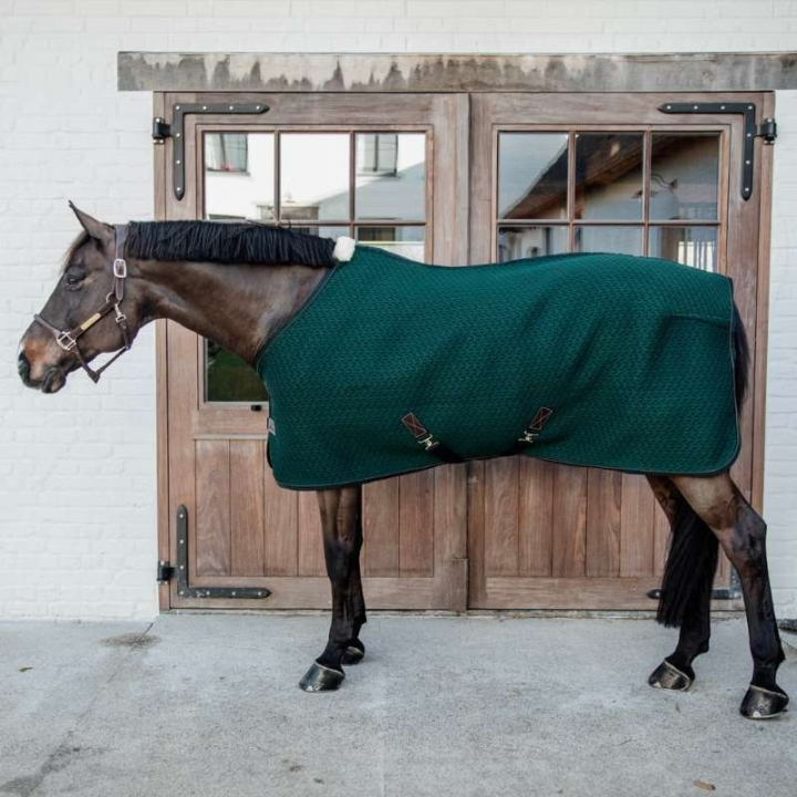 Cooler Sheet 4D Spacer Pine Green in the group Horse Rugs / Coolers at Equinest (52183PGN)