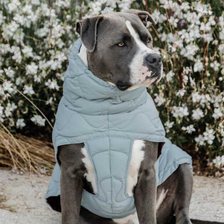 Dog Coat Winter Pina 160g Blue in the group Dog / Dog Coats & Dog Sweathers at Equinest (5218809LBL_r)