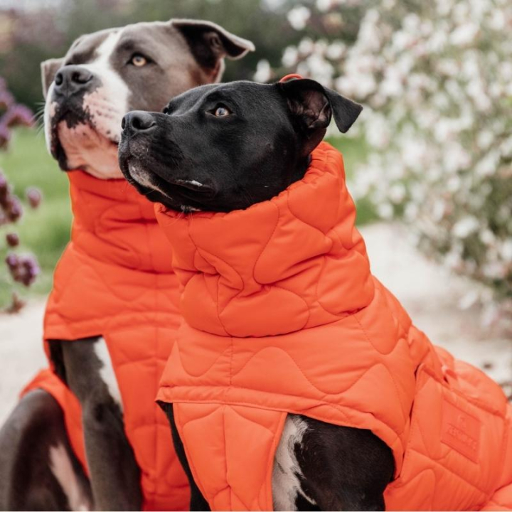 Dog Coat Winter Pina 160g Orange in the group Dog / Dog Coats & Dog Sweathers at Equinest (5218845LOR_r)