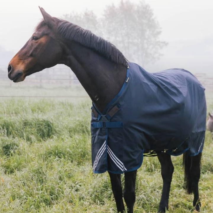 Turnout Rug All Weather Waterproof Comfort 300g Navy Blue in the group Horse Rugs / Turnout Rugs / Winter Rugs at Equinest (52194NA_r)