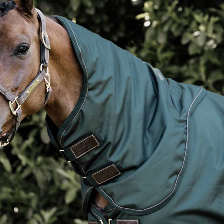 Neck All Weather Waterproof Pro 150g Dark Green in the group Horse Rugs / Horse Rug Accessories / Neck Covers at Equinest (52201DGN_r)