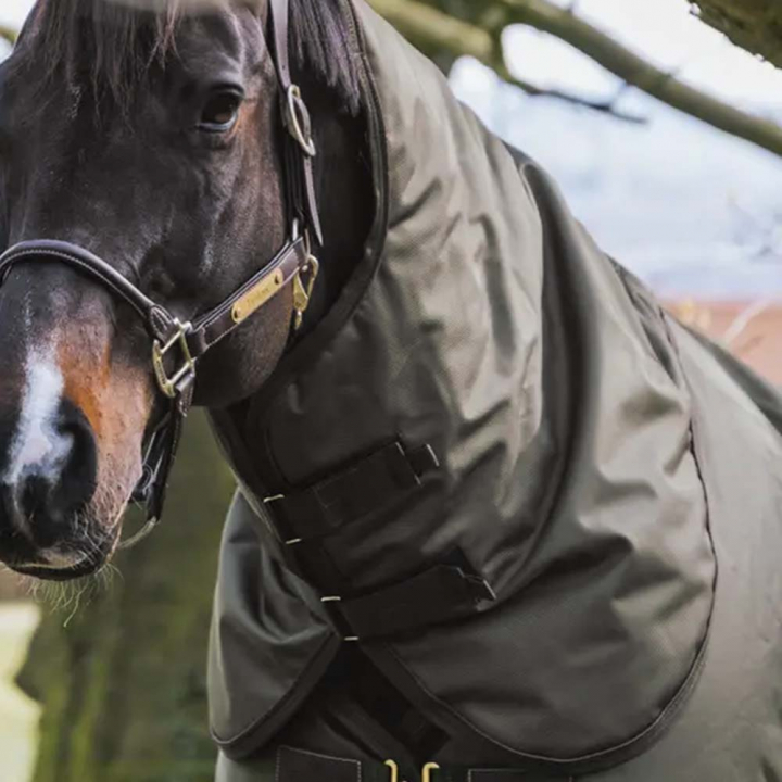 Neck All Weather Waterproof Pro 150g Kaki in the group Horse Rugs / Horse Rug Accessories / Neck Covers at Equinest (52201KGN_r)