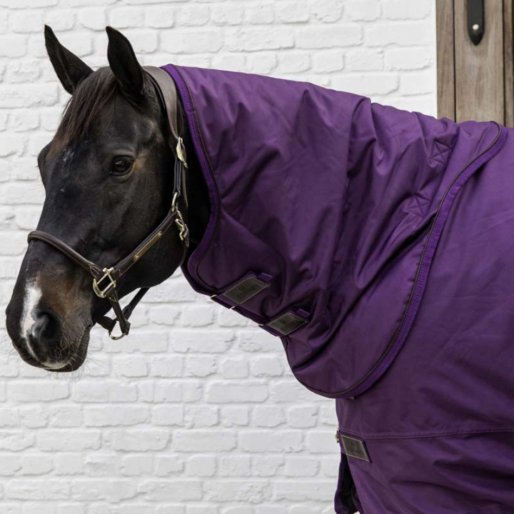 Neck All Weather Waterproof Pro 150g Royal Purple in the group Horse Rugs / Neck Covers at Equinest (52201PU_r)