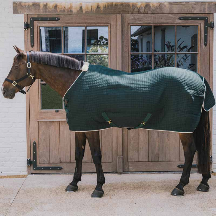 Cooler Rug PROTherm Dark Green in the group Horse Rugs / Coolers at Equinest (52231DGN_r)