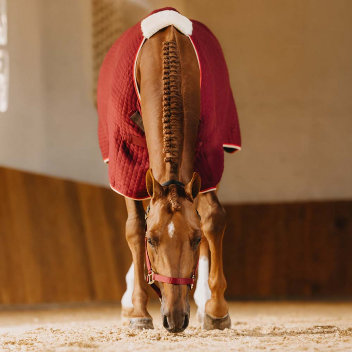 Cooler Rug PROTherm Bordeaux in the group Horse Rugs / Coolers at Equinest (52231RE_r)