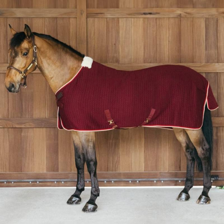 Cooler Rug PROTherm Bordeaux in the group Horse Rugs / Coolers at Equinest (52231RE_r)