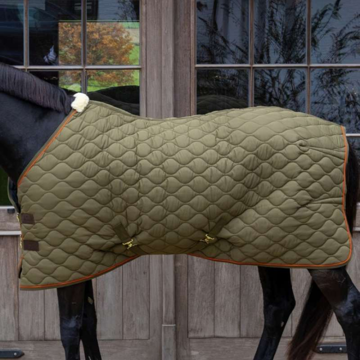 Stable Rug Wave 600D 160g Green in the group Horse Rugs / Stable Rugs at Equinest (5223873125GN_r)