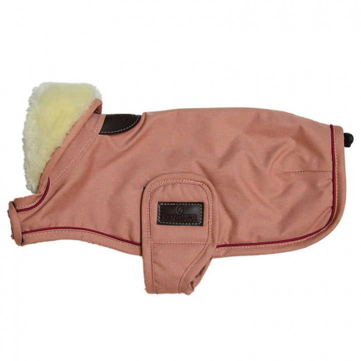 Dog Blanket Waterproof 160g Coral M in the group Dog / Dog Coats & Dog Sweathers at Equinest (52244Rs_r)