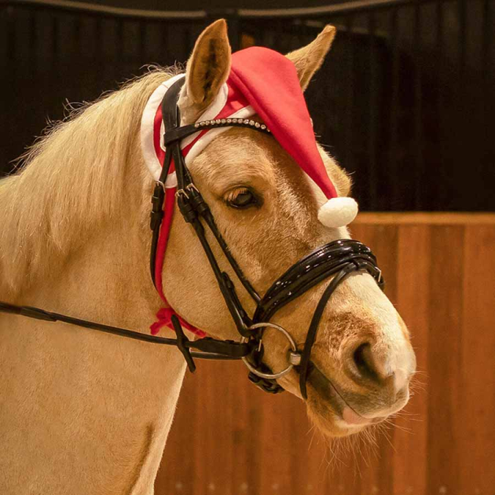 Ear Bonnet Christmas Hat Red/White in the group Holidays & Masquerade at Equinest (5520RO3REWH_r)
