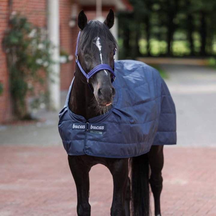 Liner Layer 200g Navy Blue in the group Horse Rugs / Liners & Underrugs at Equinest (55235BL)