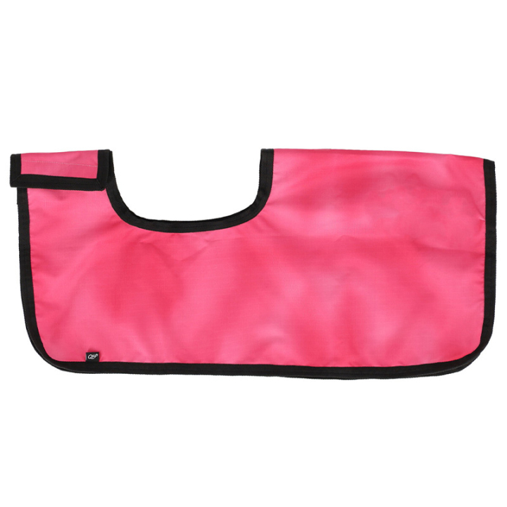 Exercise Sheet for Hobby Horse Pink in the group Hobby Horses & Toy Horses / Hobby Horse Tack at Equinest (5607FU0PI)